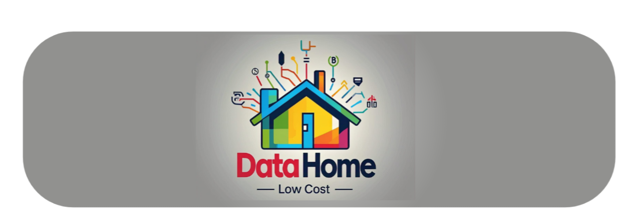 DataHomeNg Logo